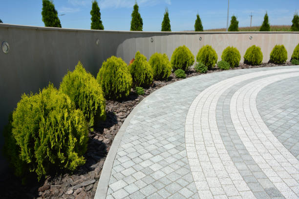 Best Driveway Paving Near Me  in Richboro, PA